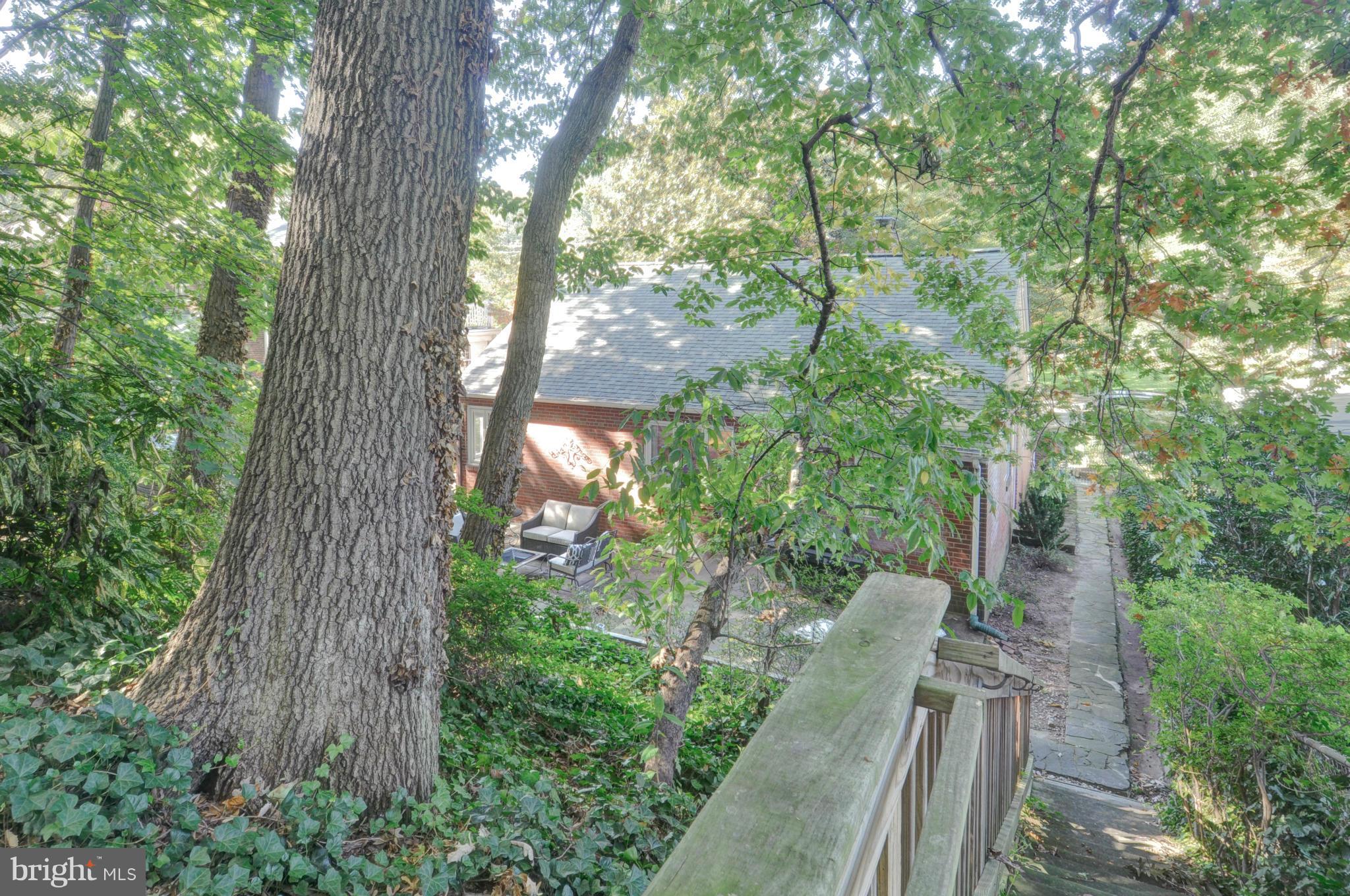 3305 Russell Road Alexandria, VA 22305 - Photo 22 of 30 Exterior (Rear)
