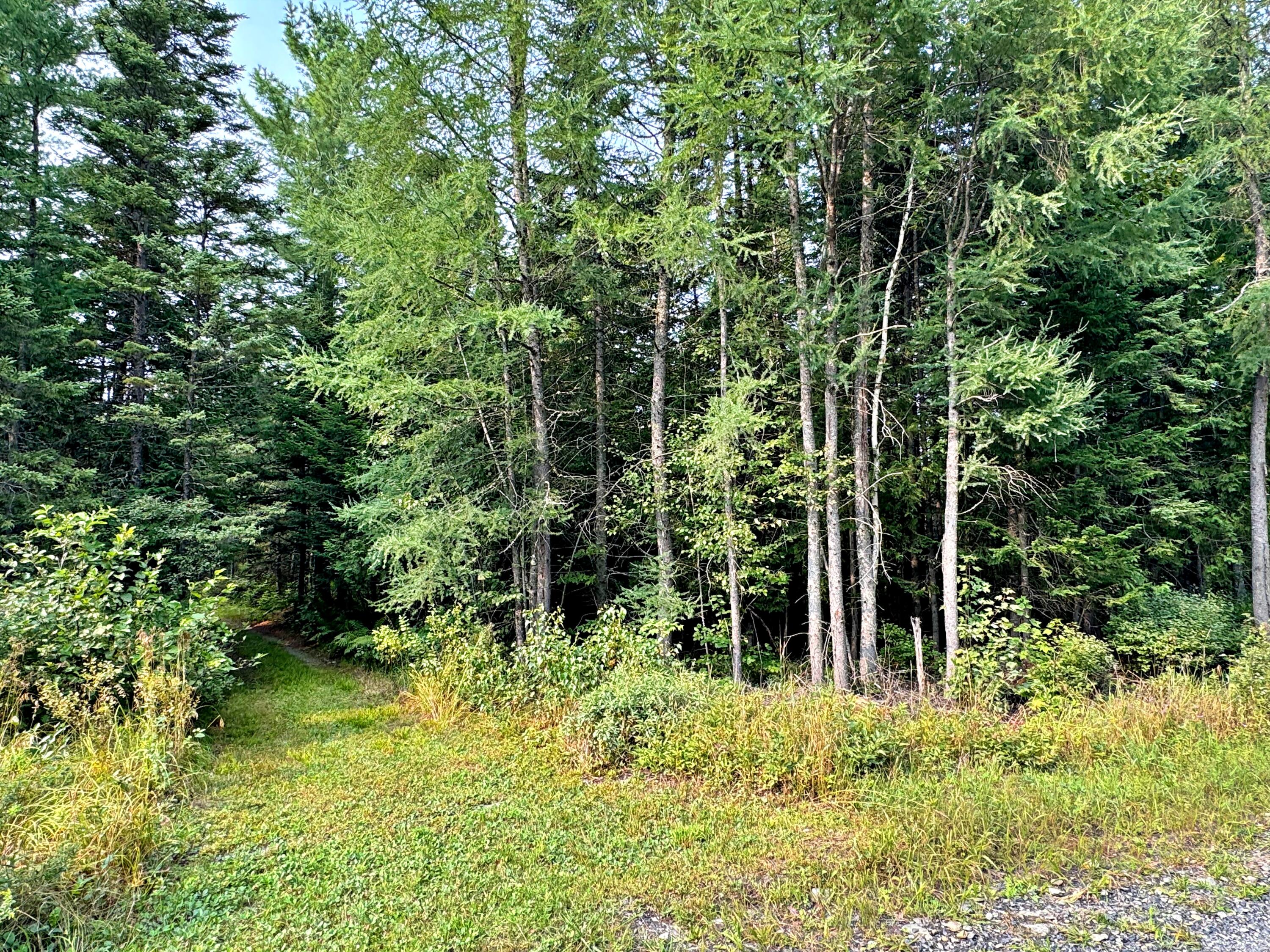 54 St John Road Fort Kent, ME 04743 - Photo 23 of 108 IMG_6665e