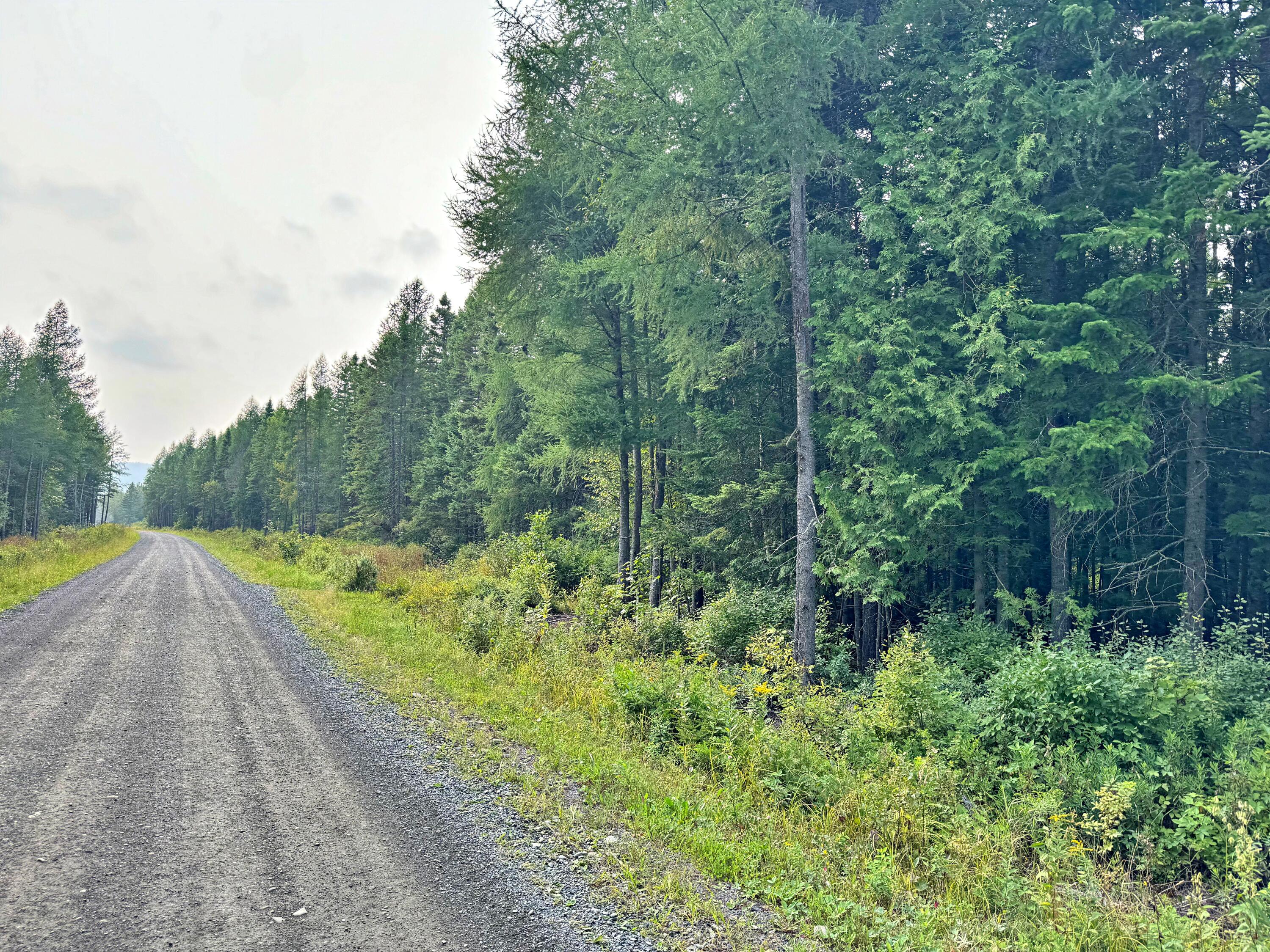 54 St John Road Fort Kent, ME 04743 - Photo 25 of 108 IMG_6673e