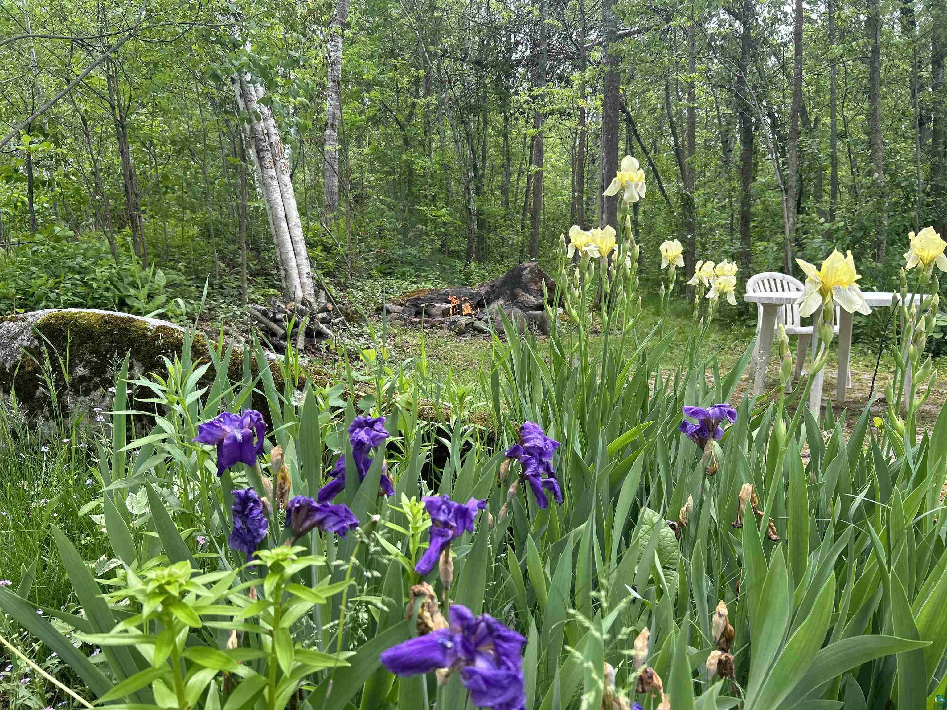3616 Lavaque Road Hermantown, MN 55811 - Photo 4 of 43 Natural landscape featuring established trees and vibrant perennial plantings