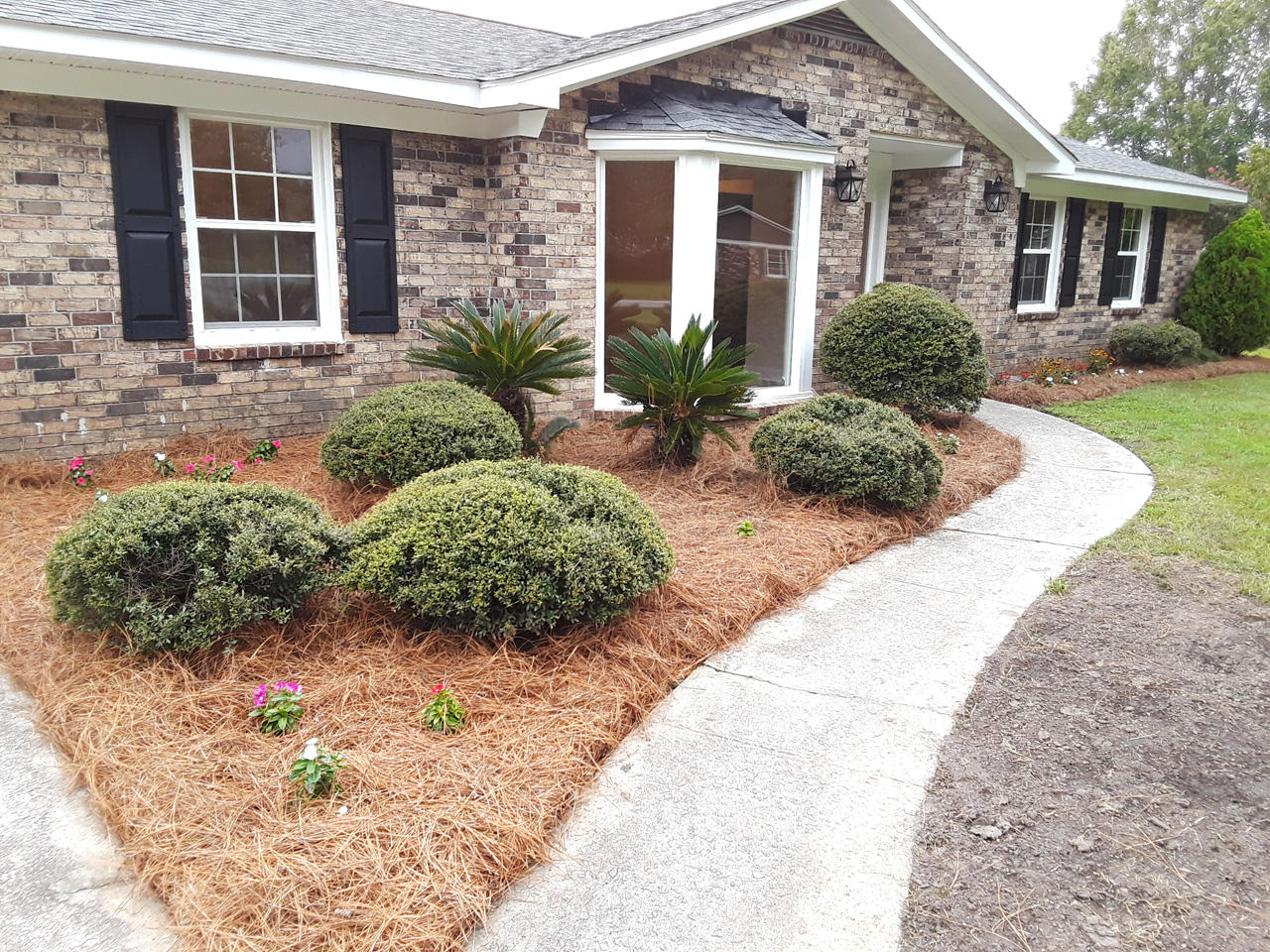 130 Foxborough Road Goose Creek, SC 29445 - Photo 2 of 37 Nicely Landscaped Entrance.