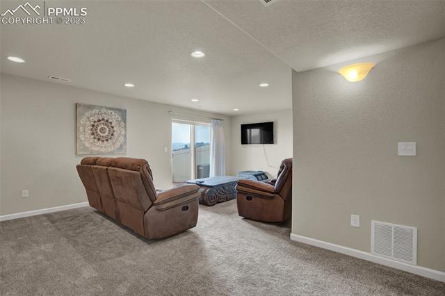 11339 Rill Point Colorado Springs, CO 80921 - Photo 29 of 35