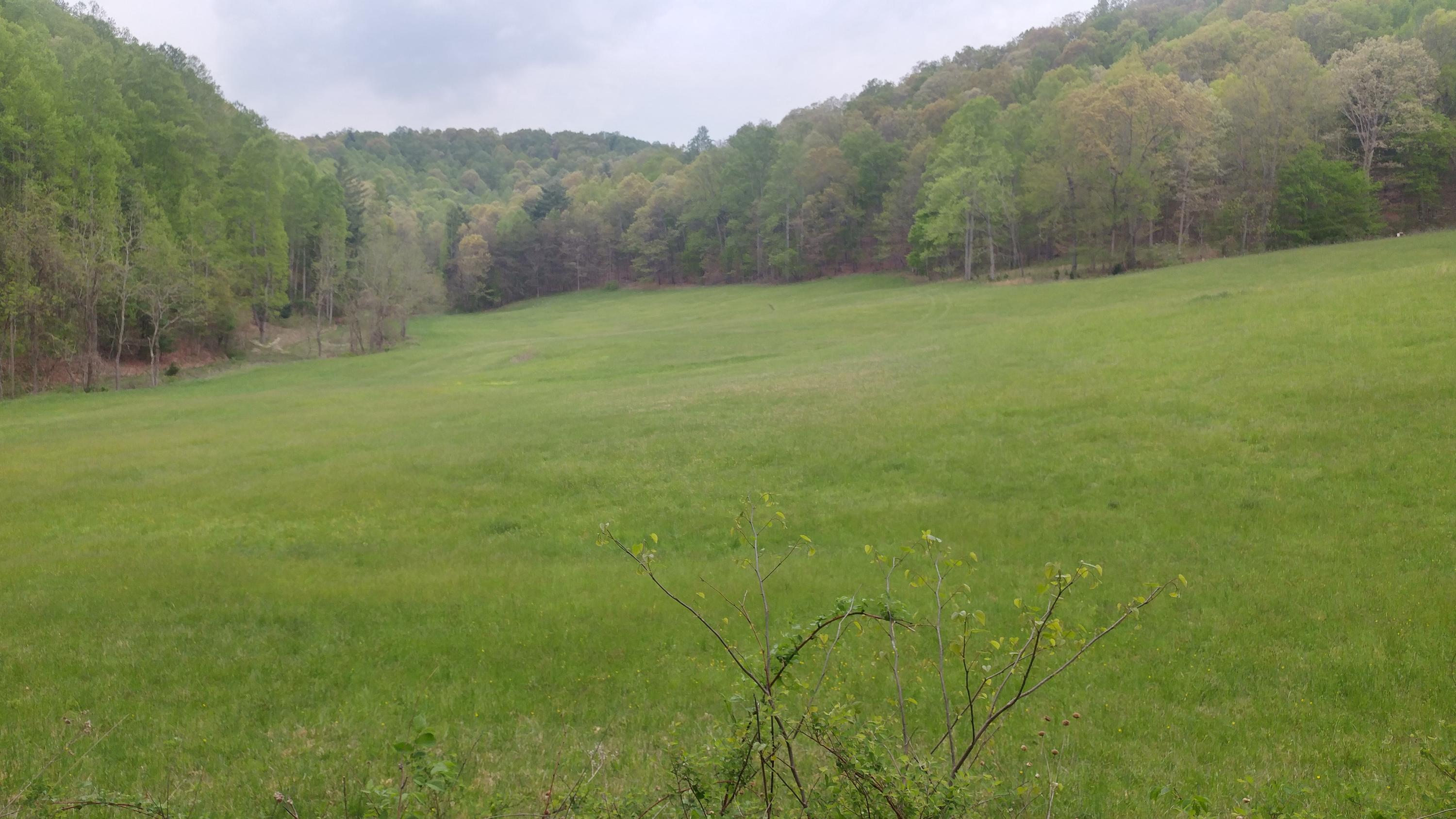 3245 Fishers View Road Shawsville, VA 24162 - Photo 19 of 37 0505181650_HDR - Copy