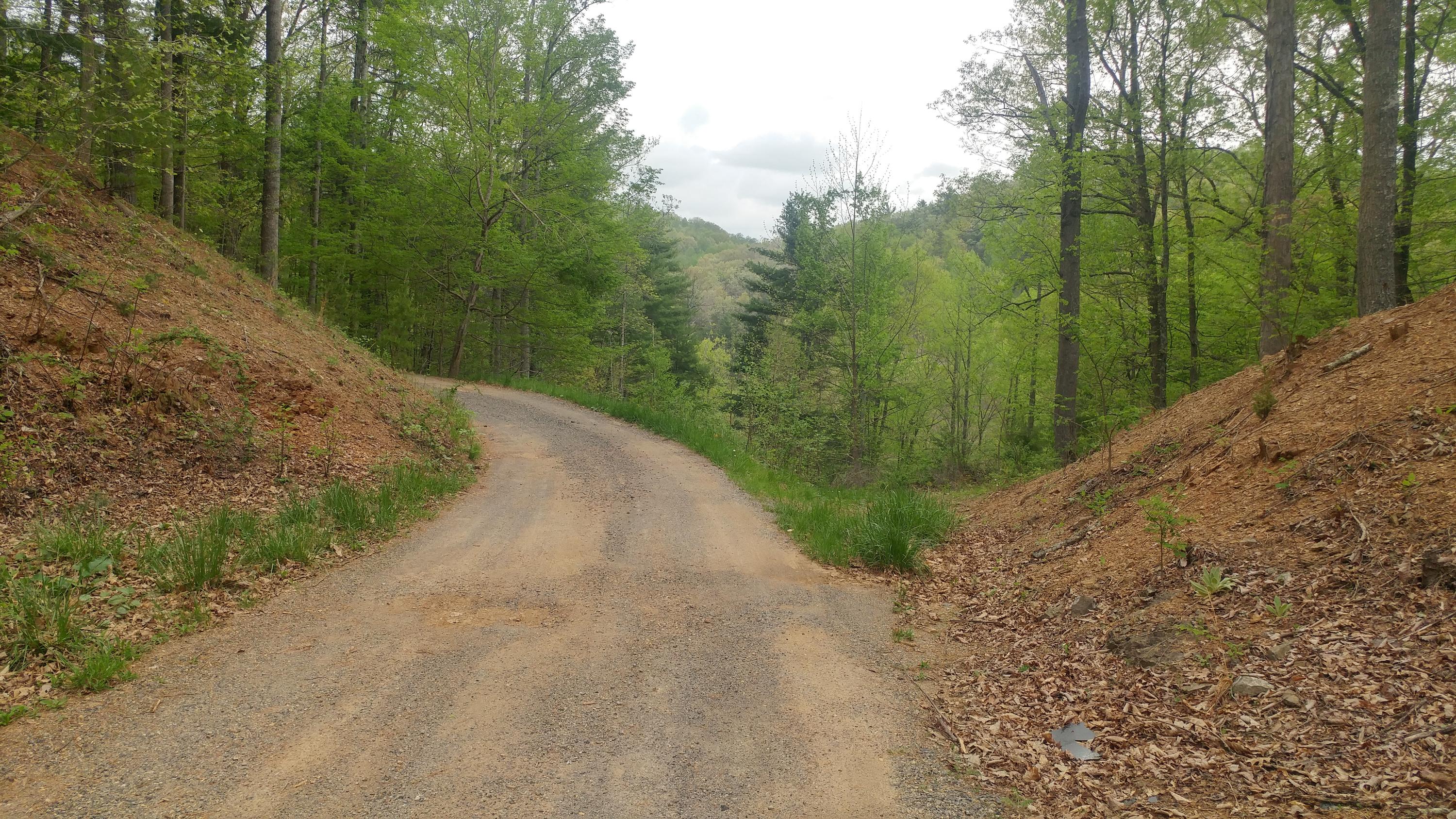 3245 Fishers View Road Shawsville, VA 24162 - Photo 3 of 37 0505181612_HDR - Copy
