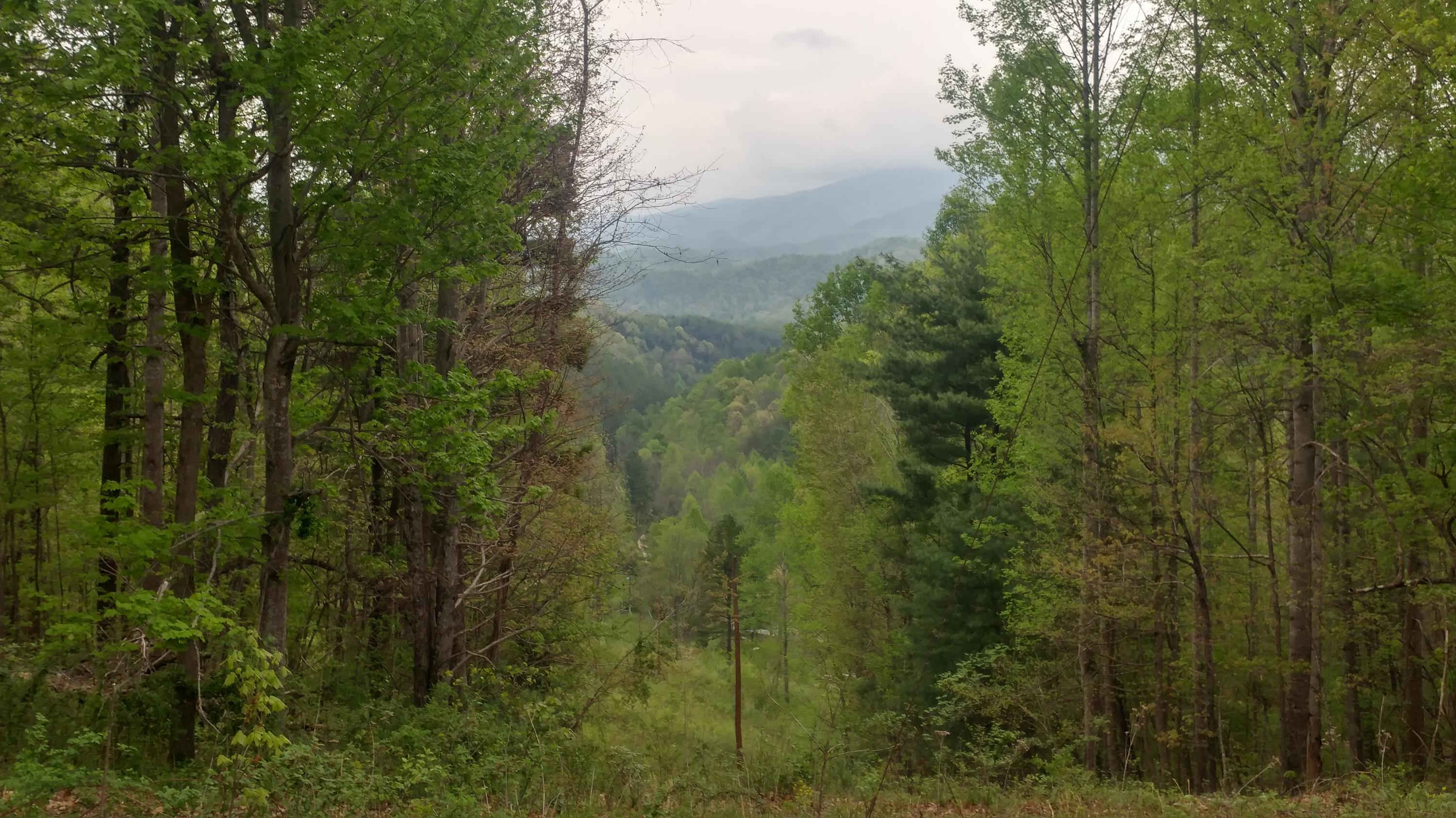 3245 Fishers View Road Shawsville, VA 24162 - Photo 21 of 37 0505181656a_HDR - Copy