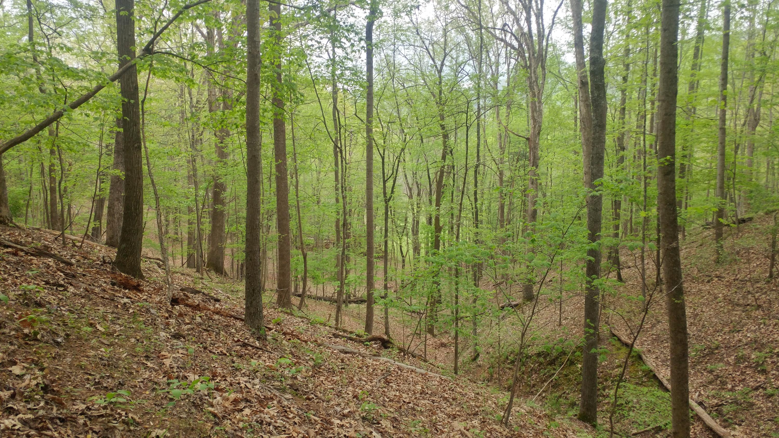 3245 Fishers View Road Shawsville, VA 24162 - Photo 23 of 37 0505181714_HDR - Copy