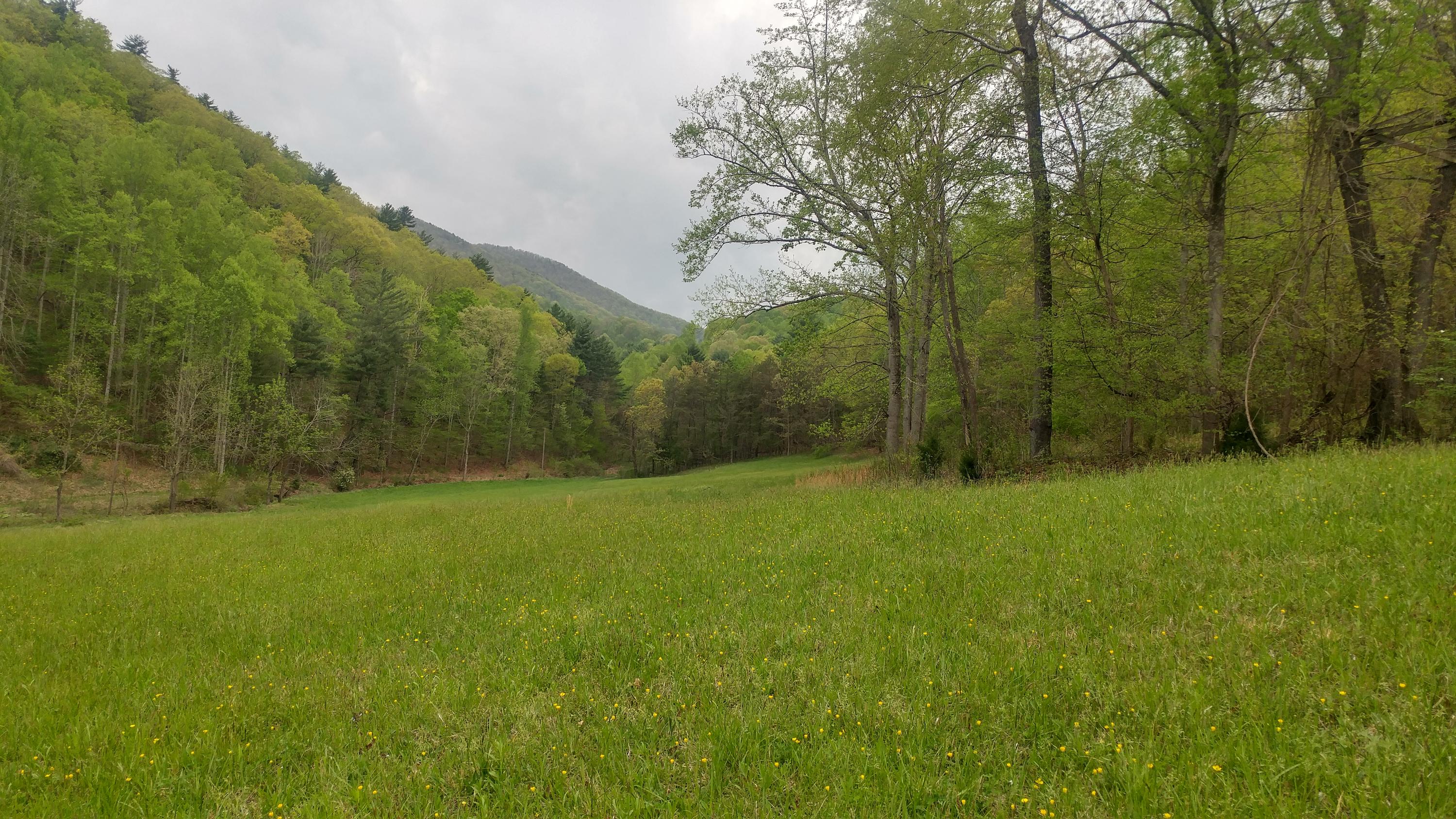 3245 Fishers View Road Shawsville, VA 24162 - Photo 24 of 37 0505181726_HDR - Copy