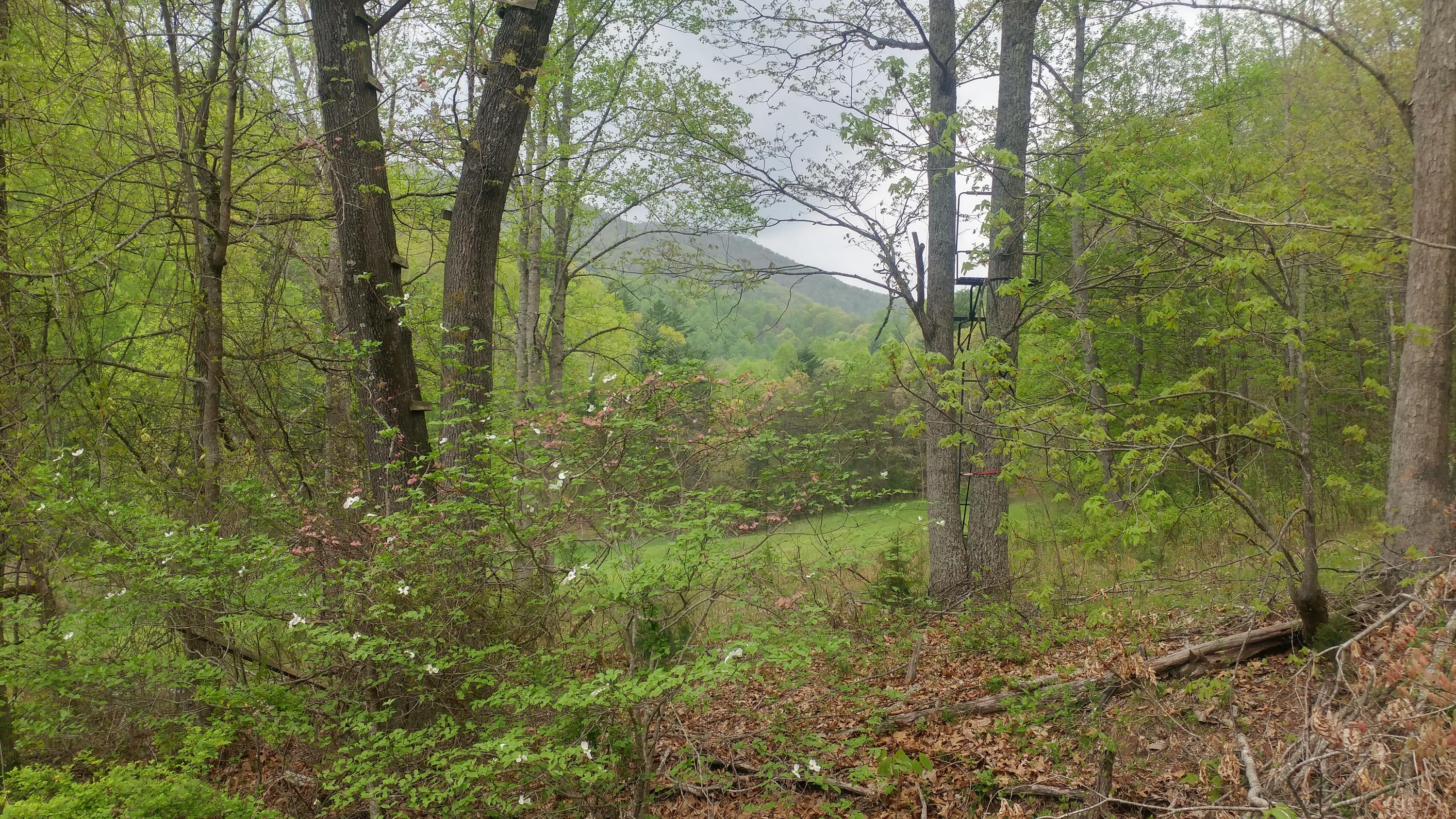 3245 Fishers View Road Shawsville, VA 24162 - Photo 25 of 37 0505181729b_HDR - Copy