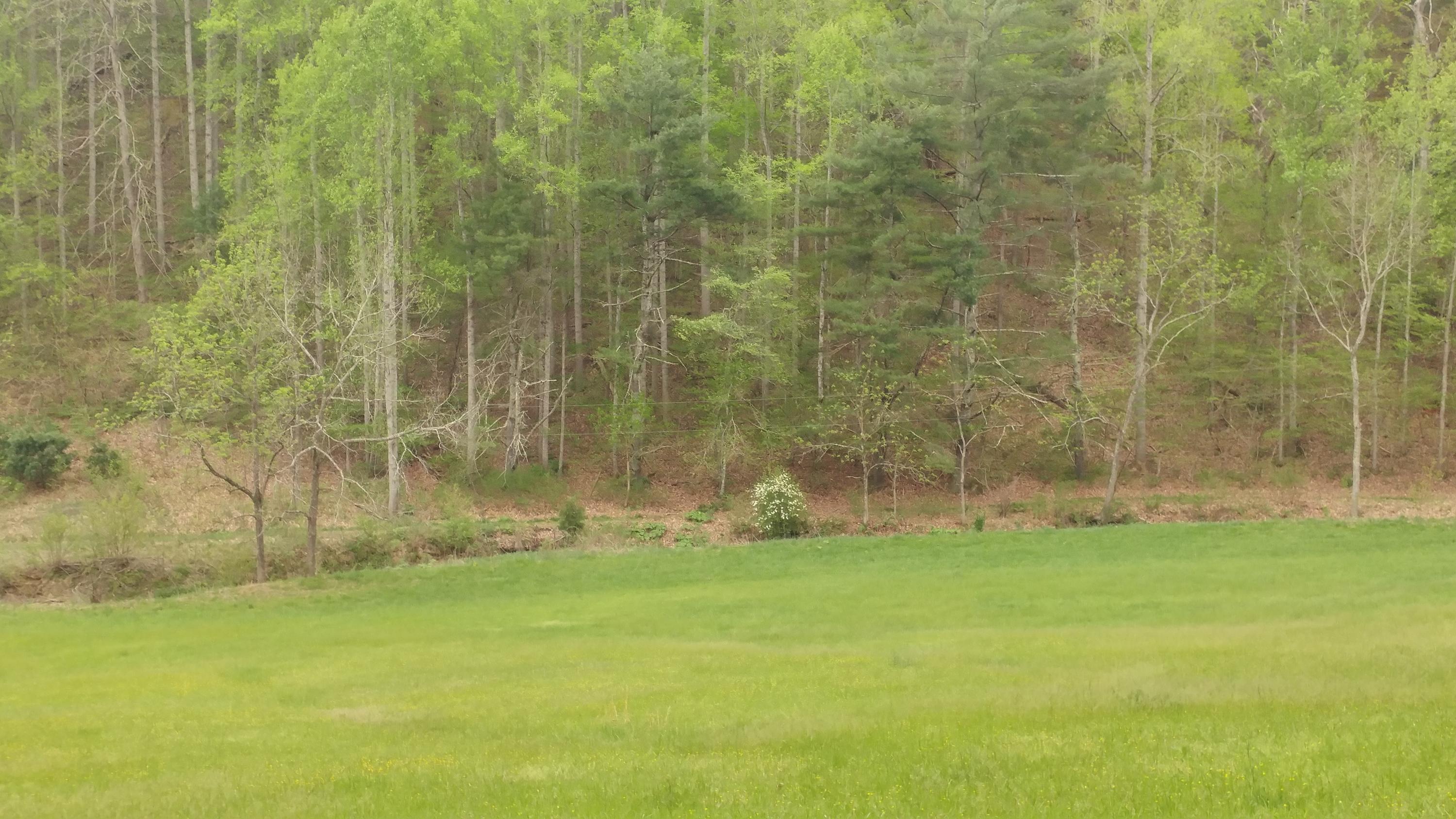 3245 Fishers View Road Shawsville, VA 24162 - Photo 28 of 37 0505181733_HDR - Copy