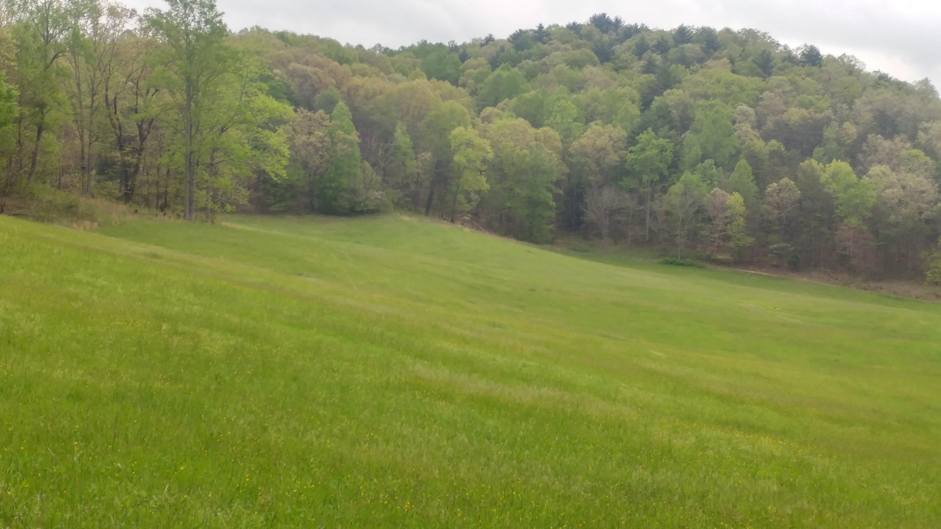 3245 Fishers View Road Shawsville, VA 24162 - Photo 29 of 37 0505181736a_HDR - Copy