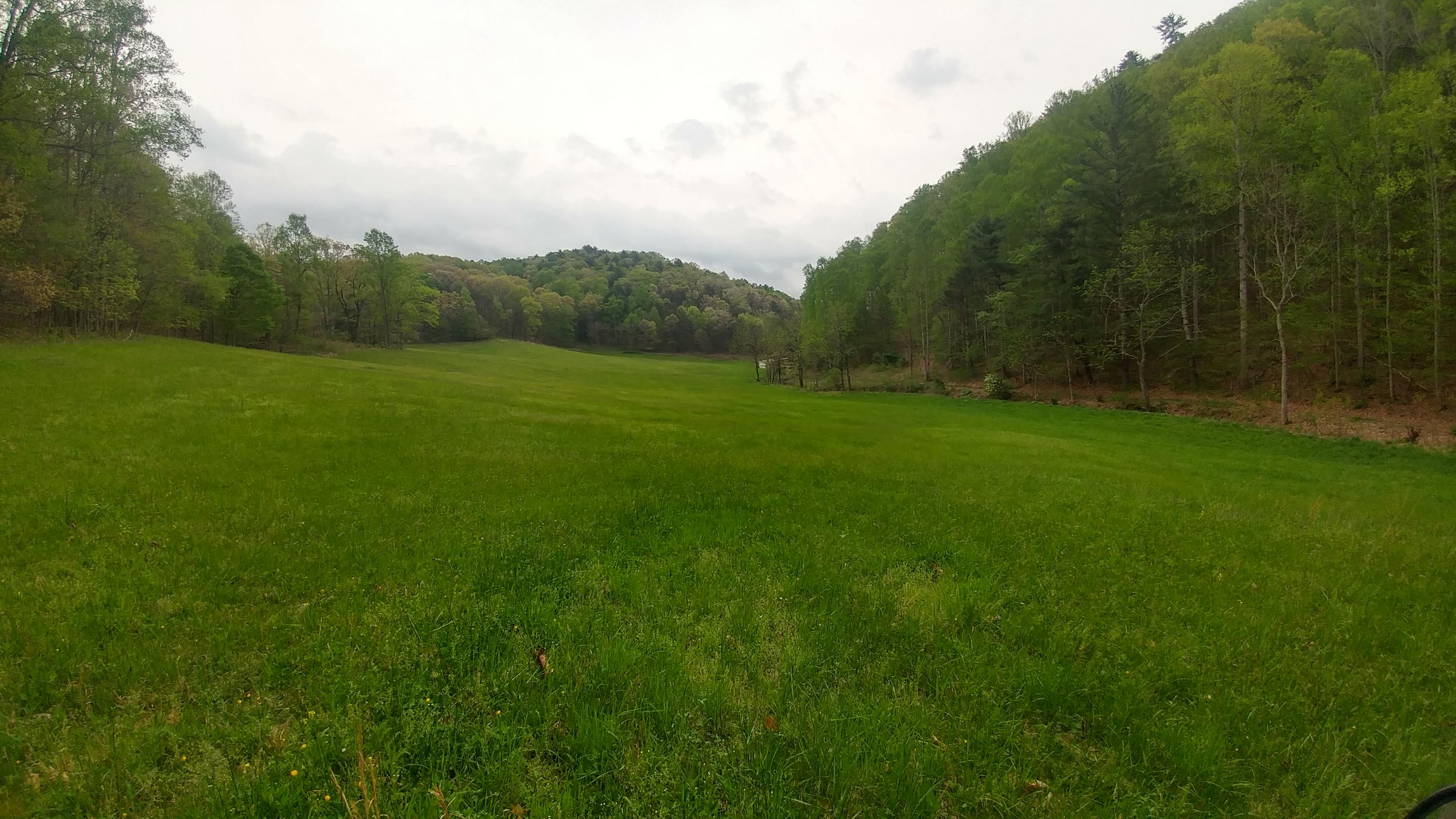 3245 Fishers View Road Shawsville, VA 24162 - Photo 30 of 37 0505181736c_HDR - Copy