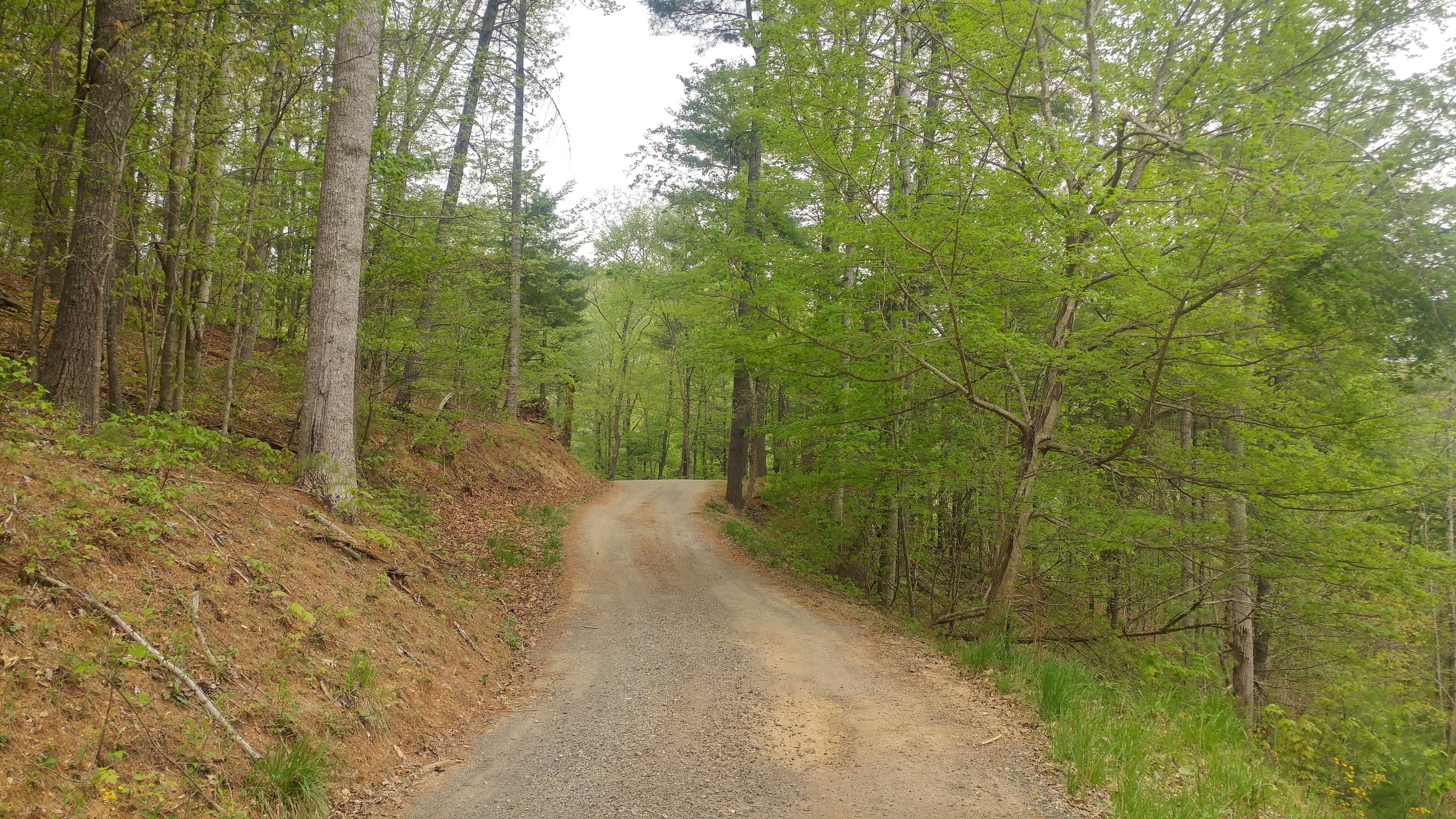 3245 Fishers View Road Shawsville, VA 24162 - Photo 4 of 37 0505181612b_HDR - Copy
