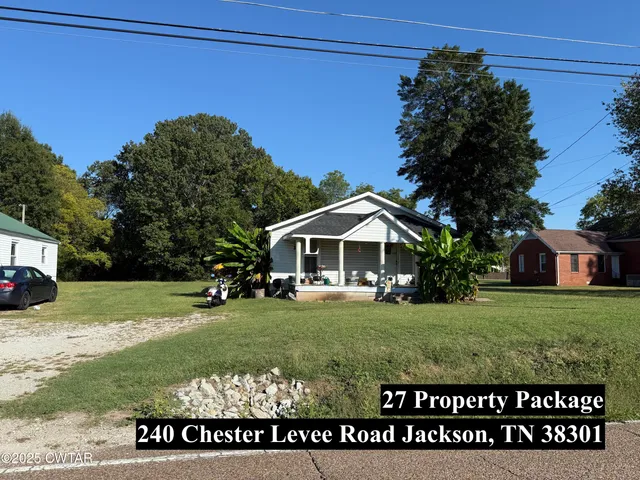a view of a park with a large trees