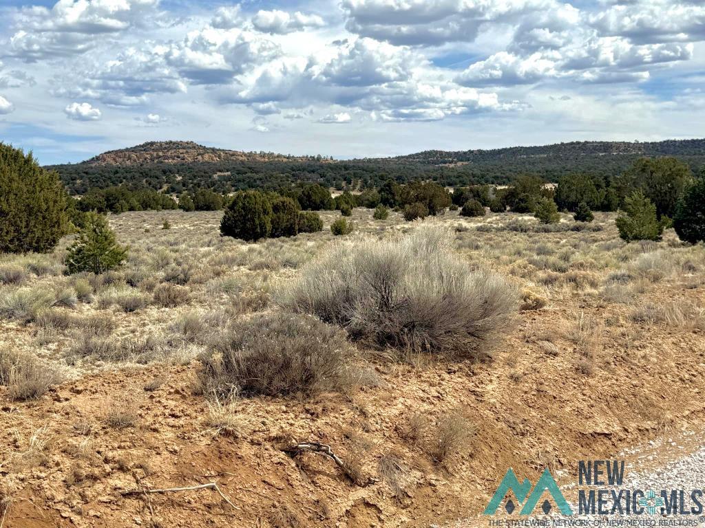 16 Five Five Gate Road Pinehill, NM 87357 - Photo 4 of 15