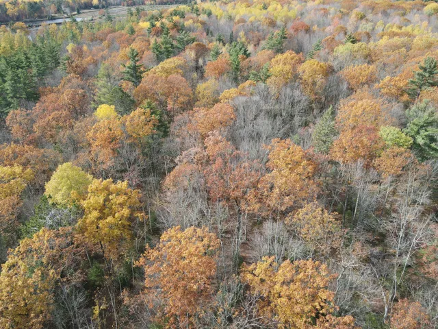 $249,900 | Lot 5-xxx Lot 5-xxx Blaiszik's Bay Lane, Hayward, WI 54843