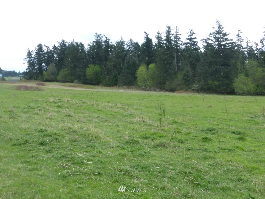 1 Ritchie Road Lopez Island, WA 98261 - Photo 4 of 4