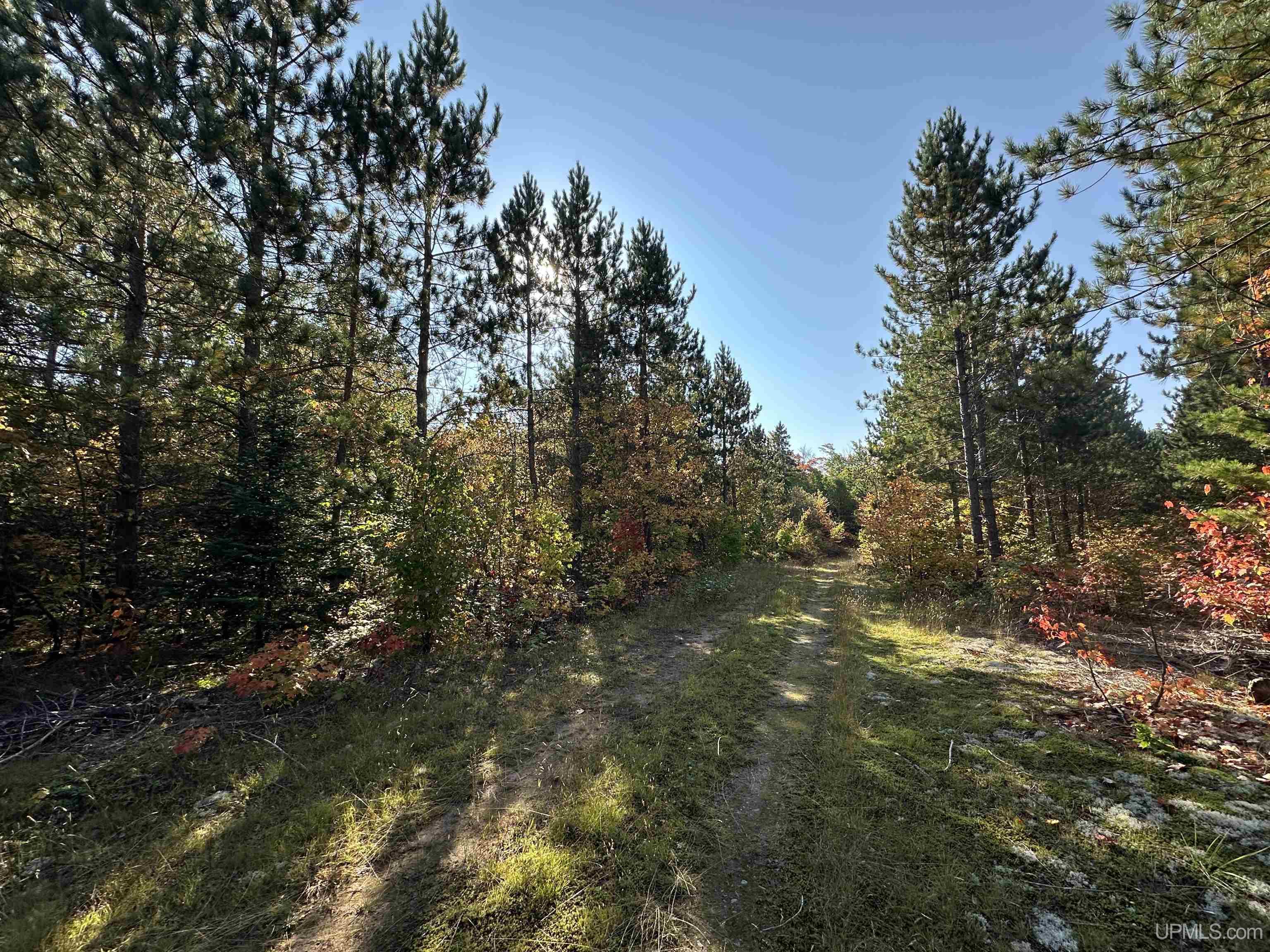 510 Rd Ishpeming Mi 49849 Road Negaunee, MI 49866 - Photo 52 of 54
