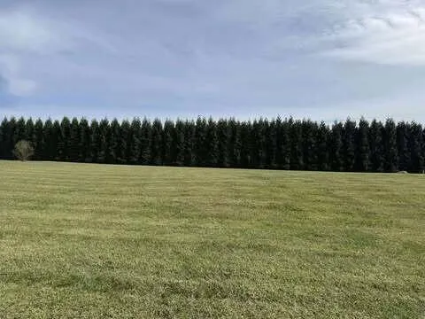 $60,000 | Lot 4 Nyle Ridge Road, Wirtz, VA 24184