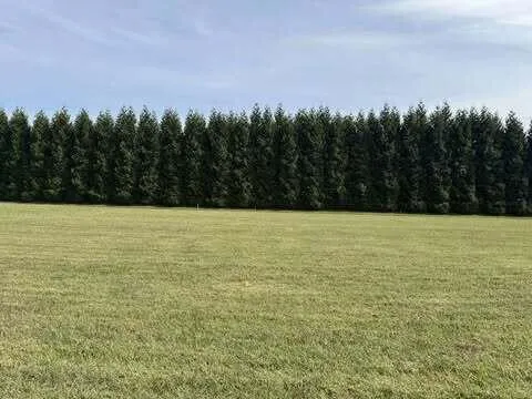 $60,000 | Lot 4 Nyle Ridge Road, Wirtz, VA 24184