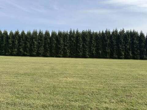Lot 4 Nyle Ridge Road Wirtz, VA 24184 - Photo 4 of 11 2