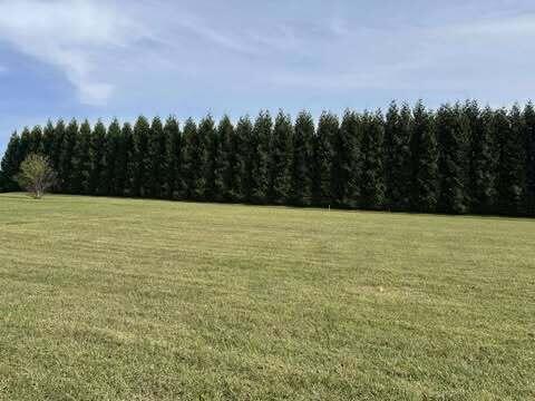 Lot 4 Nyle Ridge Road Wirtz, VA 24184 - Photo 5 of 11 3