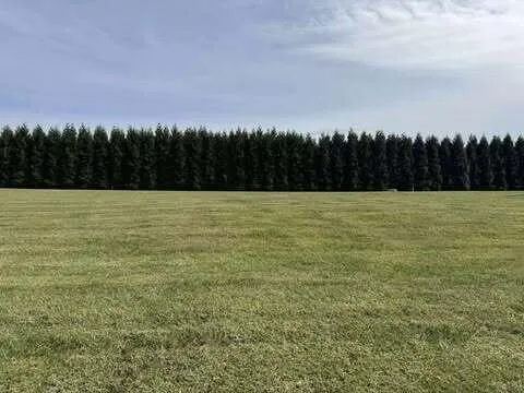 $60,000 | Lot 4 Nyle Ridge Road, Wirtz, VA 24184