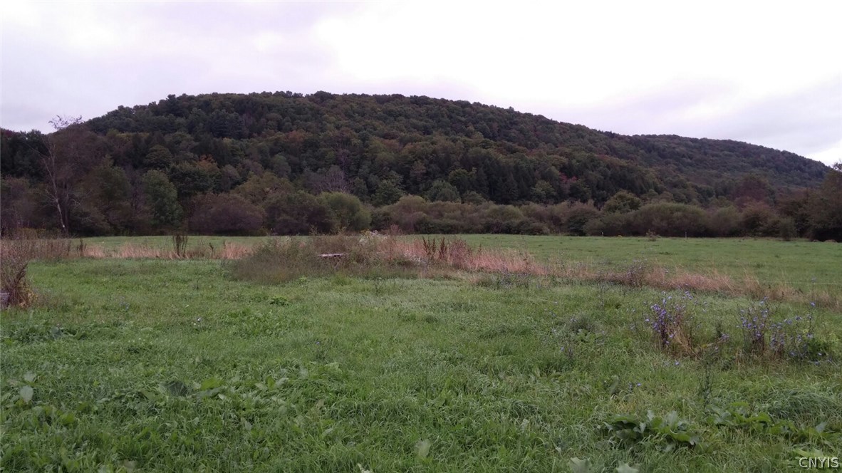 2546 State Rte 26 Georgetown, NY 13072 - Photo 8 of 13