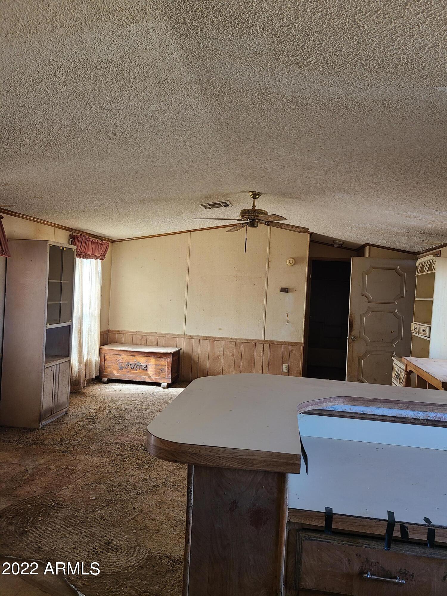 3559 West Leake Road Douglas, AZ 85607 - Photo 6 of 28 20220318_100946