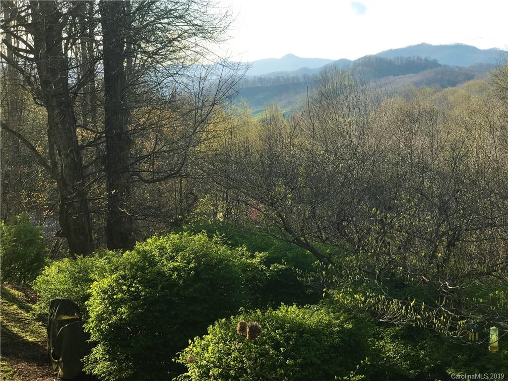 263 Old Country Road Waynesville, NC 28786 - Photo 25 of 28