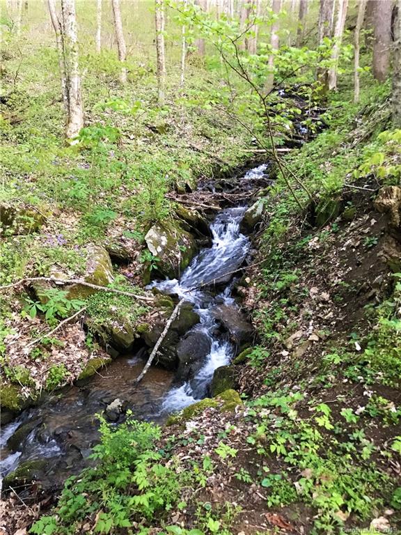 263 Old Country Road Waynesville, NC 28786 - Photo 26 of 28