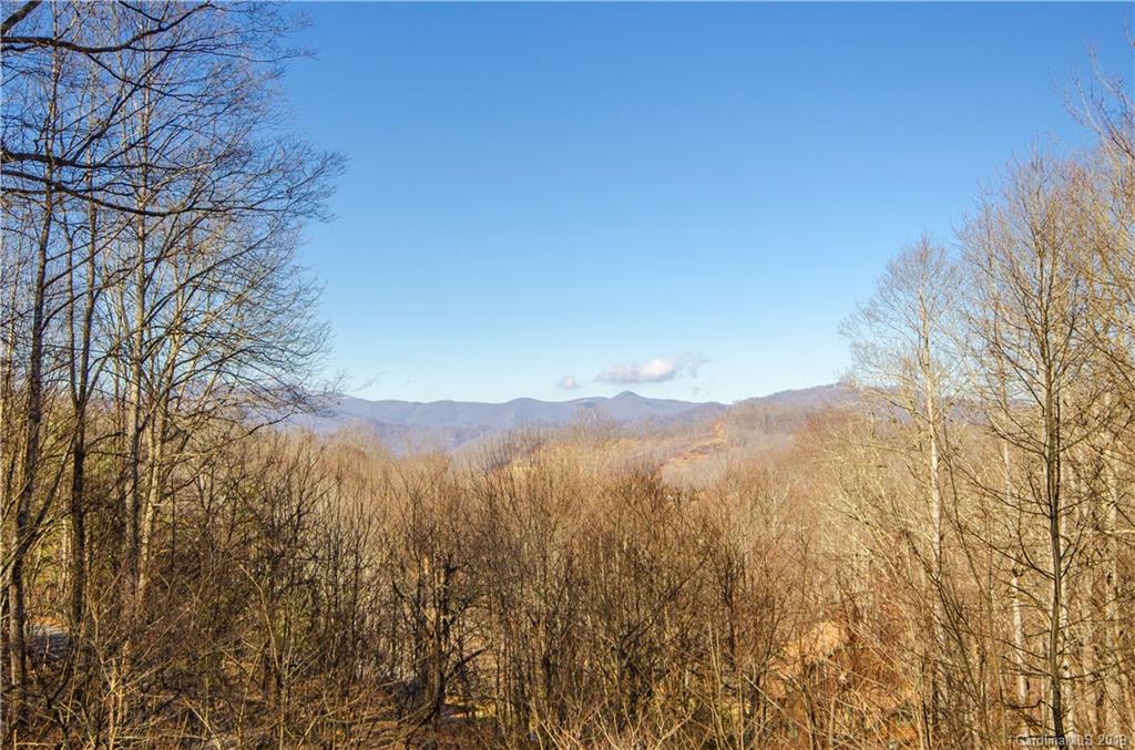 263 Old Country Road Waynesville, NC 28786 - Photo 10 of 28