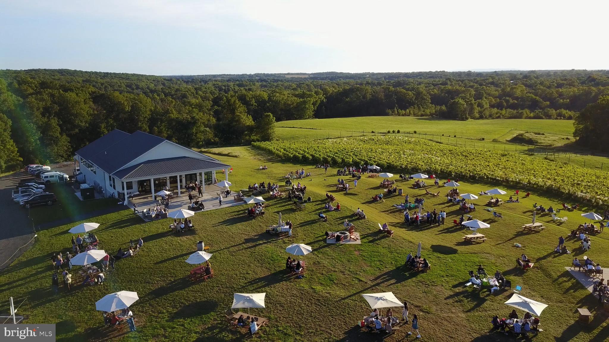 17336 Fletchall Road Poolesville, MD 20837 - Photo 47 of 55 ....or the amazing Windridge Vineyards!