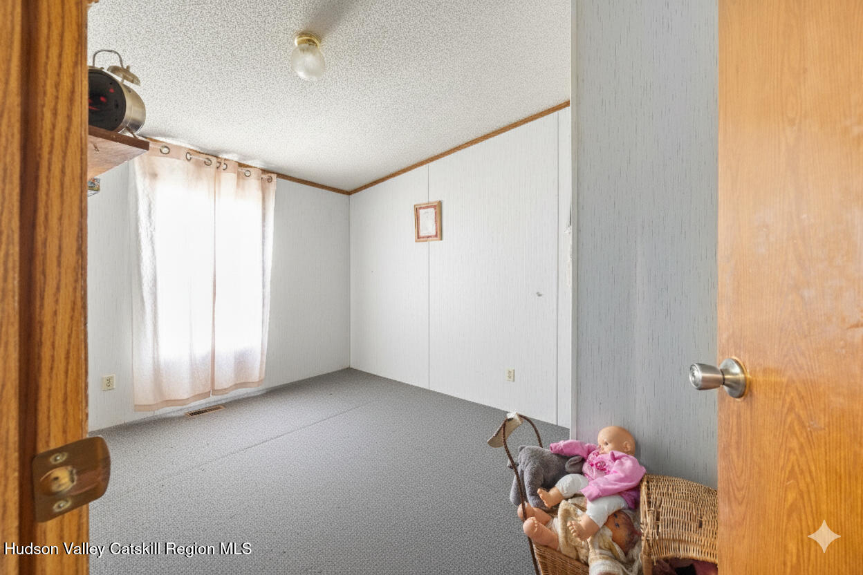 11 Falls Road Hudson, NY 12534 - Photo 18 of 28 7Y3A4018B