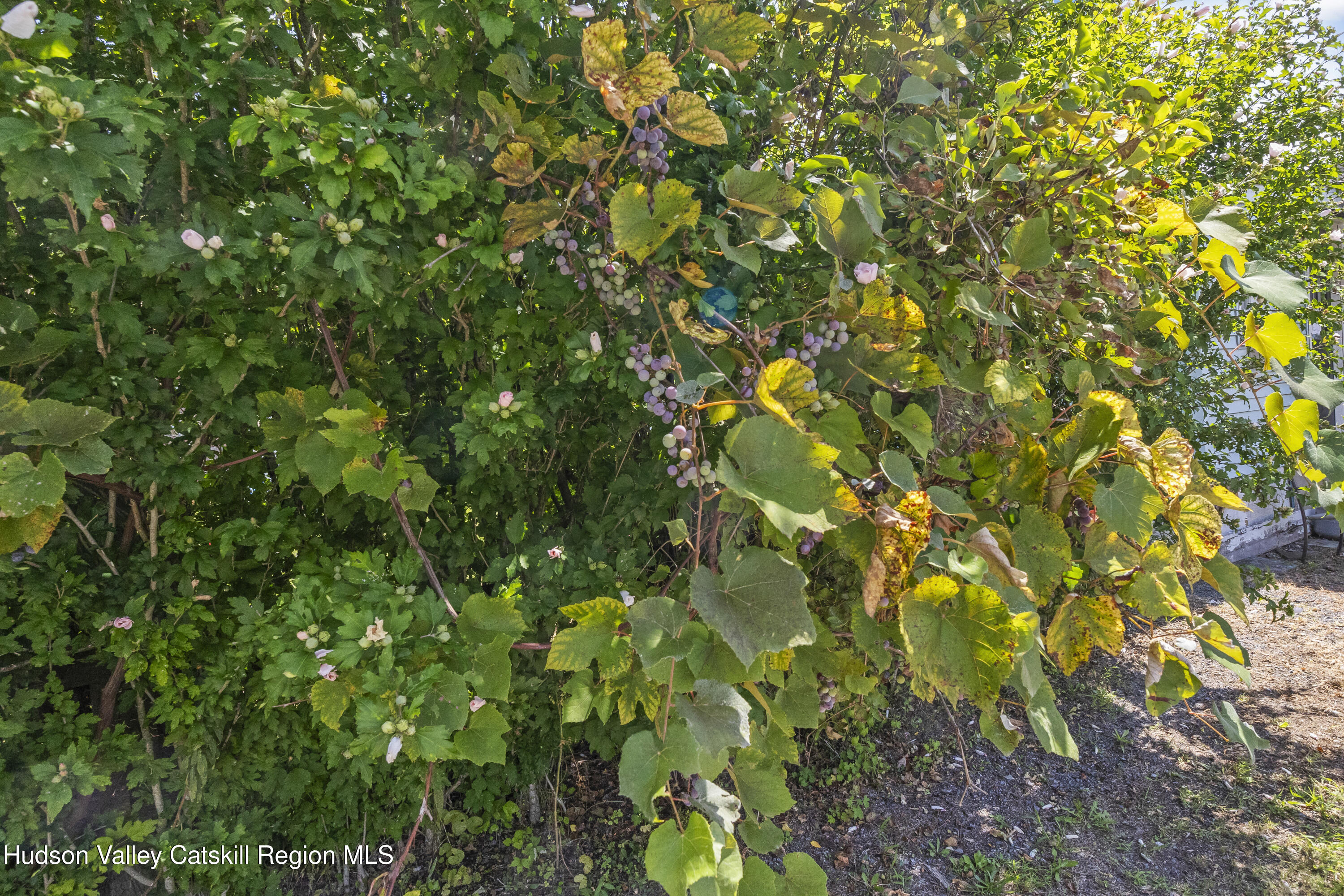 11 Falls Road Hudson, NY 12534 - Photo 21 of 28 7Y3A4038