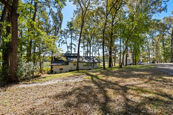 a view of a yard with large trees
