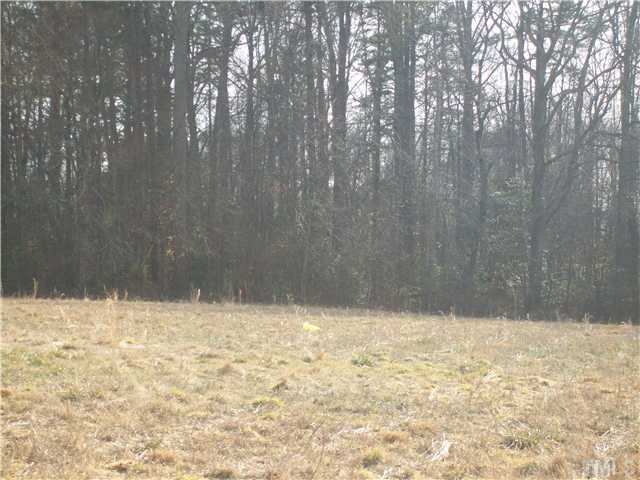 0 Cardens Cove Road, Unit LOT 2 Timberlake, NC 27583 - Photo 4 of 7 a view of yard