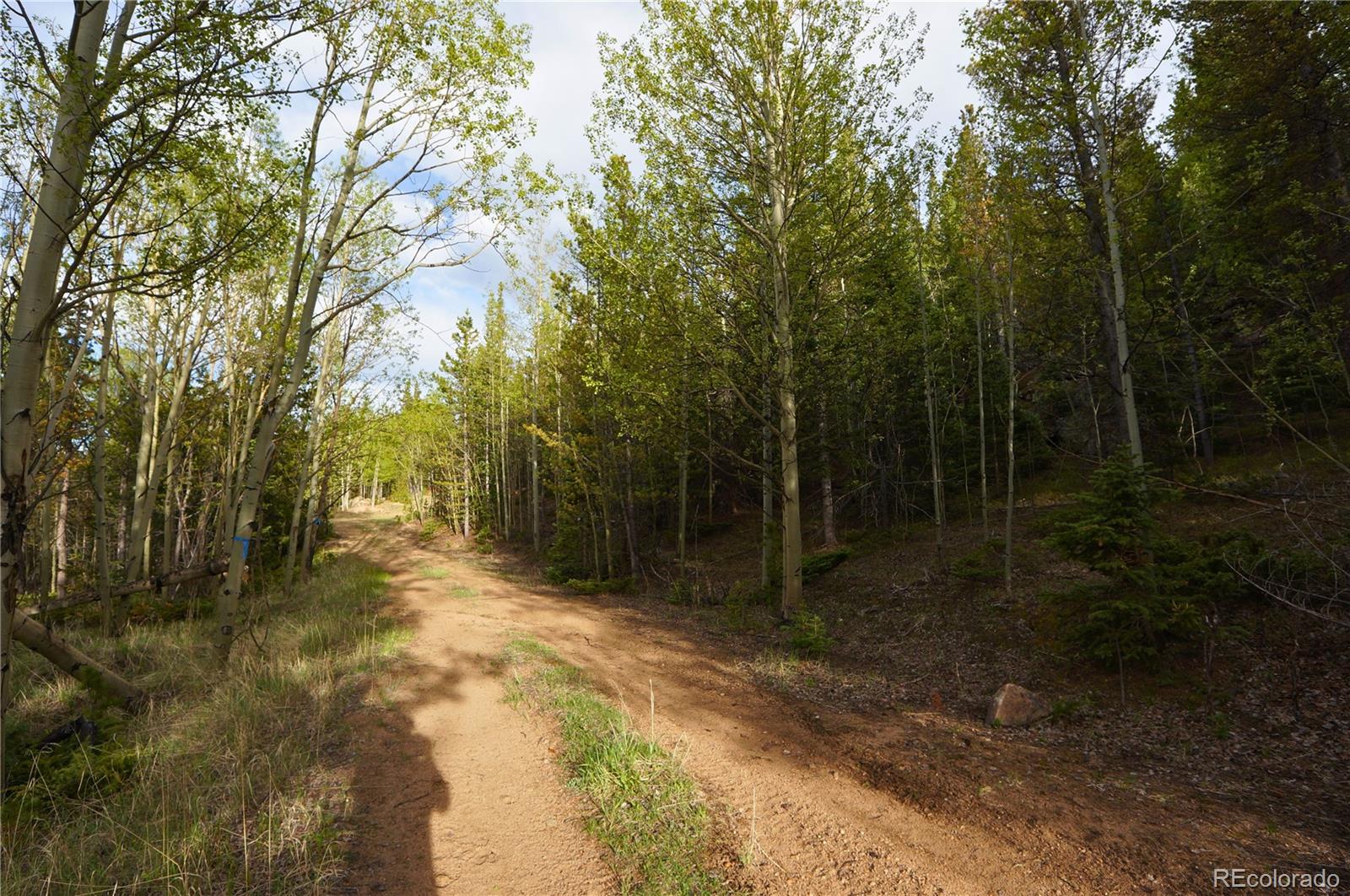 0 Trail Creek Road Idaho Springs, CO 80452 - Photo 15 of 16