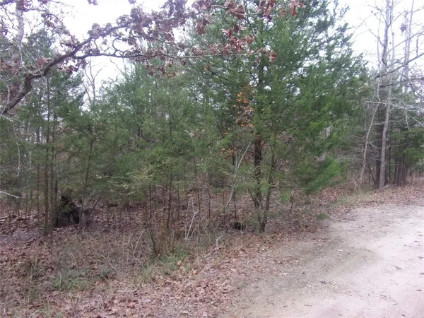 a view of a forest with trees in the background