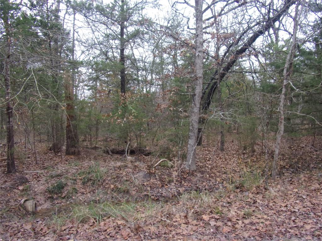 0 Hideaway Murchison, TX 75778 - Photo 2 of 11 a big yard with lots of green space and fog