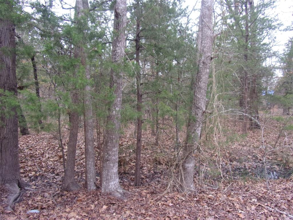 0 Hideaway Murchison, TX 75778 - Photo 3 of 11 a view of a forest with lots of trees