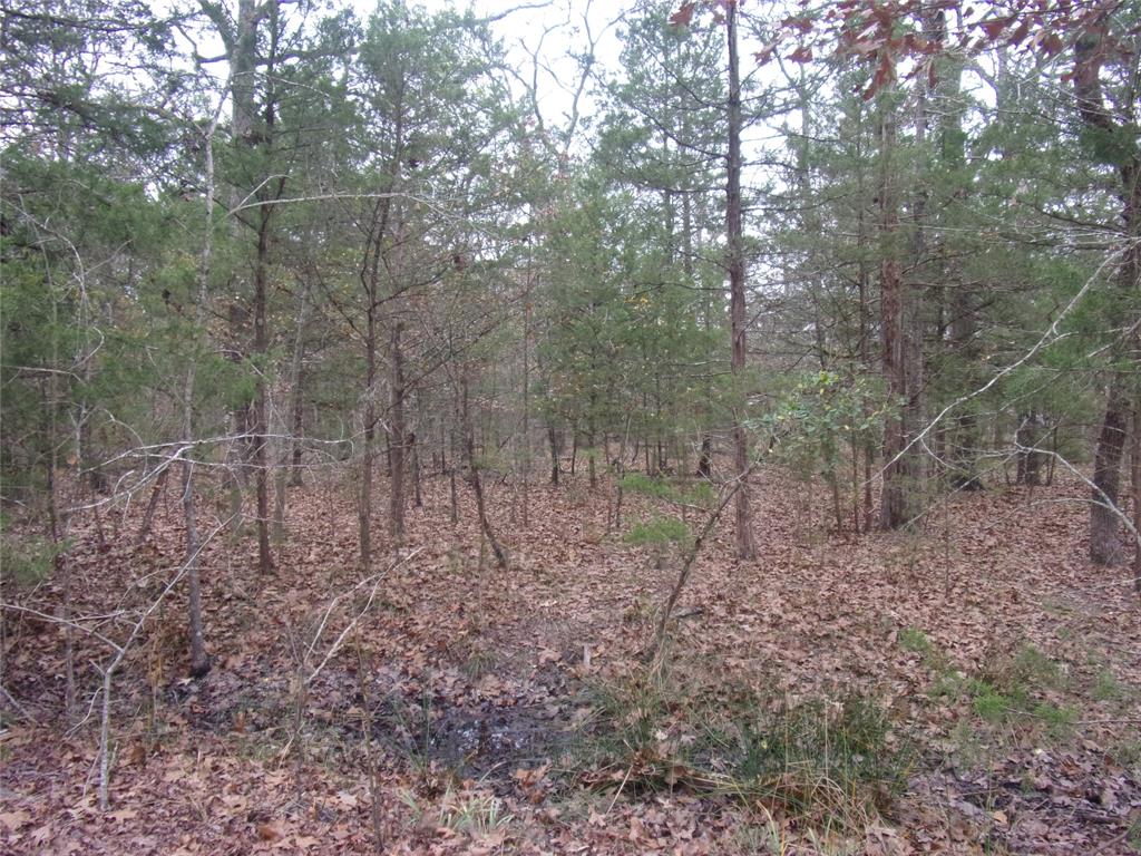 0 Hideaway Murchison, TX 75778 - Photo 4 of 11 a view of a forest with a trees