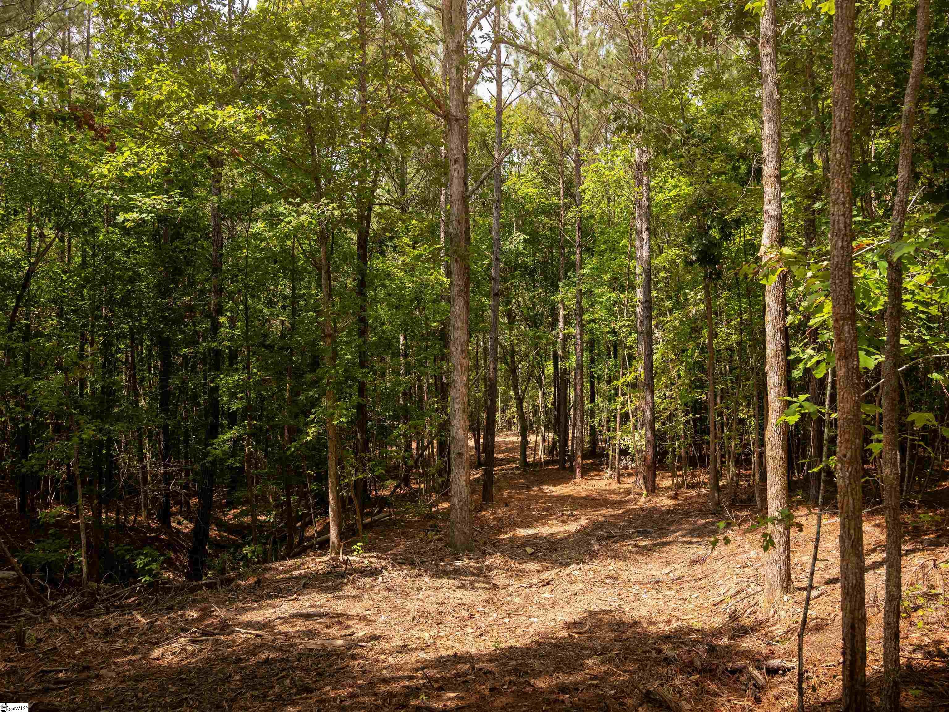 6 Neal Shoals Road Union, SC 29379 - Photo 43 of 48