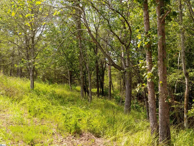 $175,000 | 6 Neal Shoals Road, Union, SC 29379