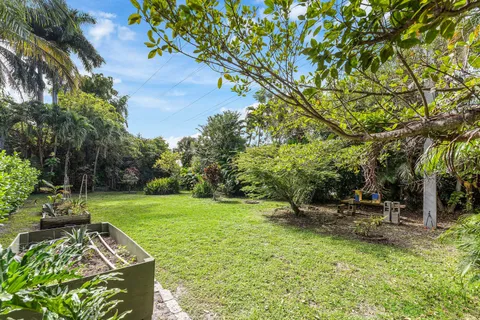 a view of a park with large trees