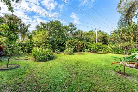 a view of yard with green space