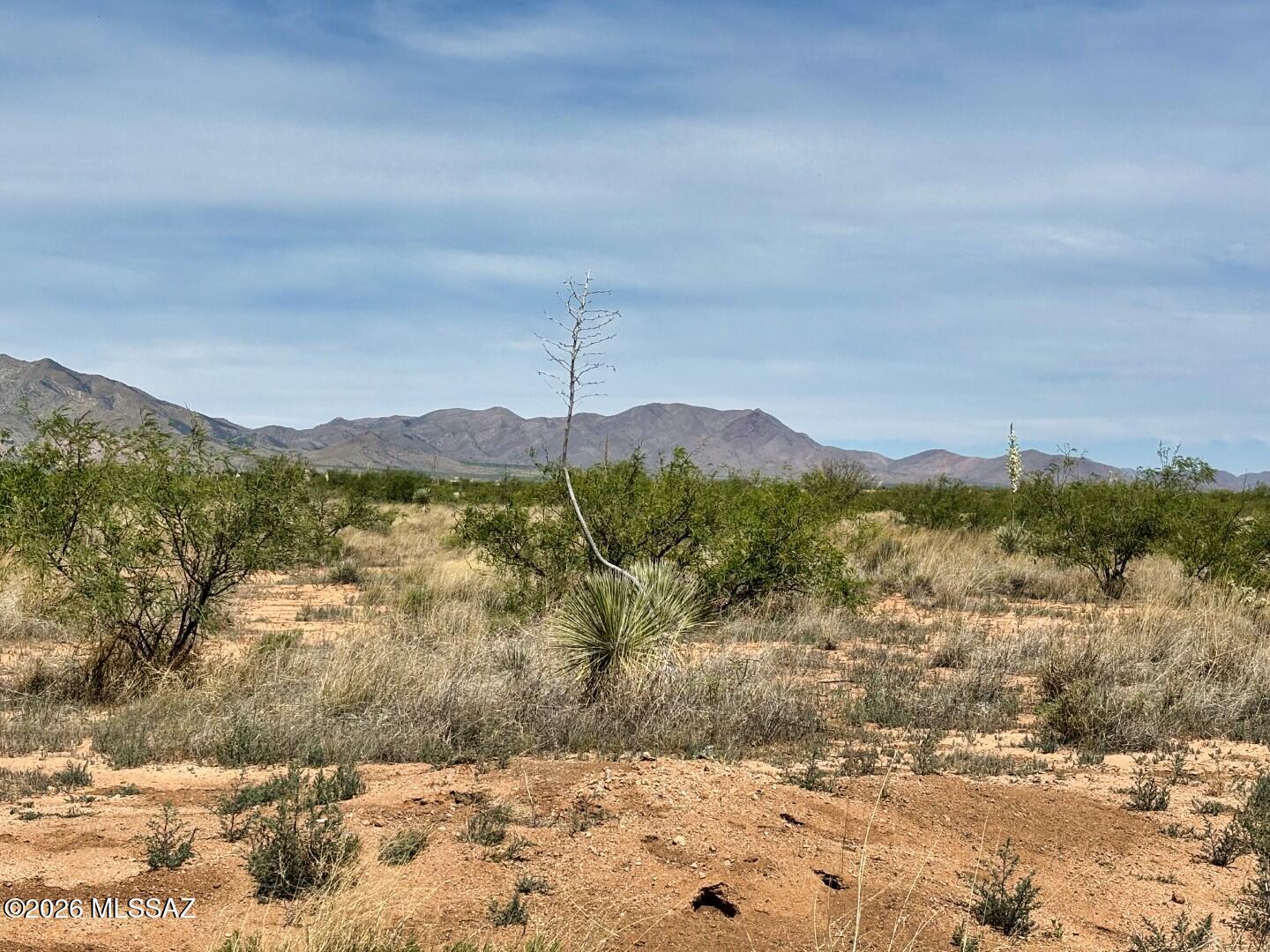 4.22-acres Treasure Road Pearce, AZ 85625 - Photo 6 of 10