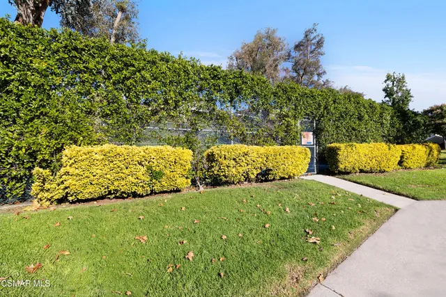 a view of garden with trees