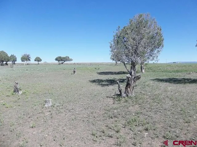 a view of a dry field with trees in the background