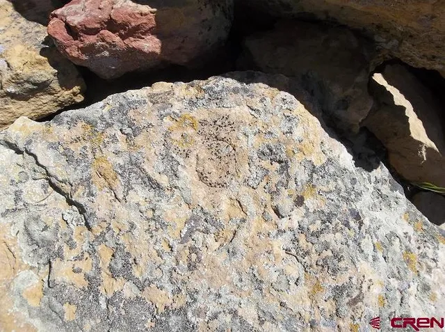 a view of a wooden floor and a sink in a backyard