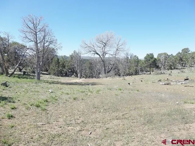 a view of dirt field with trees